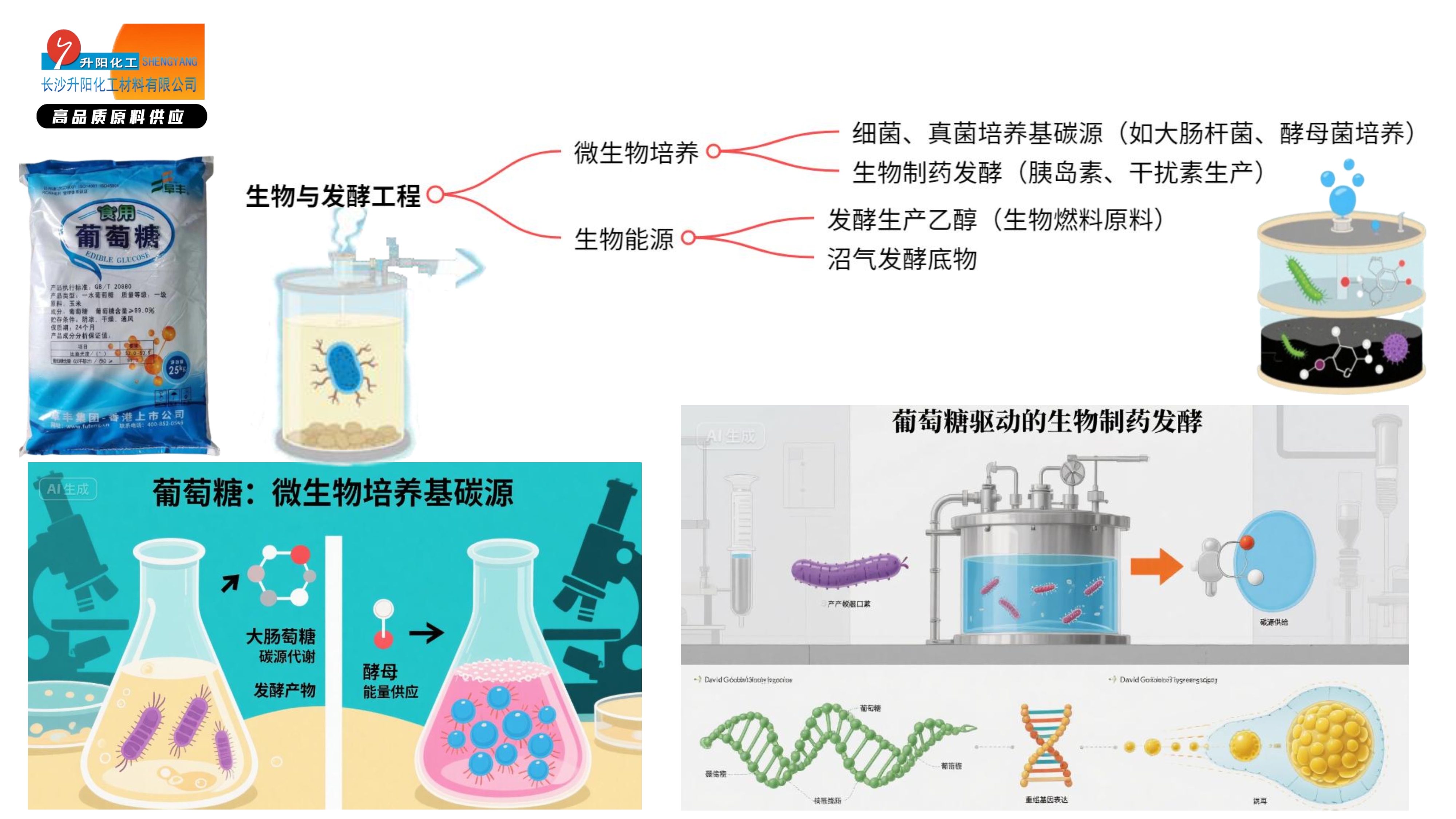 葡萄糖_image5_out.jpg